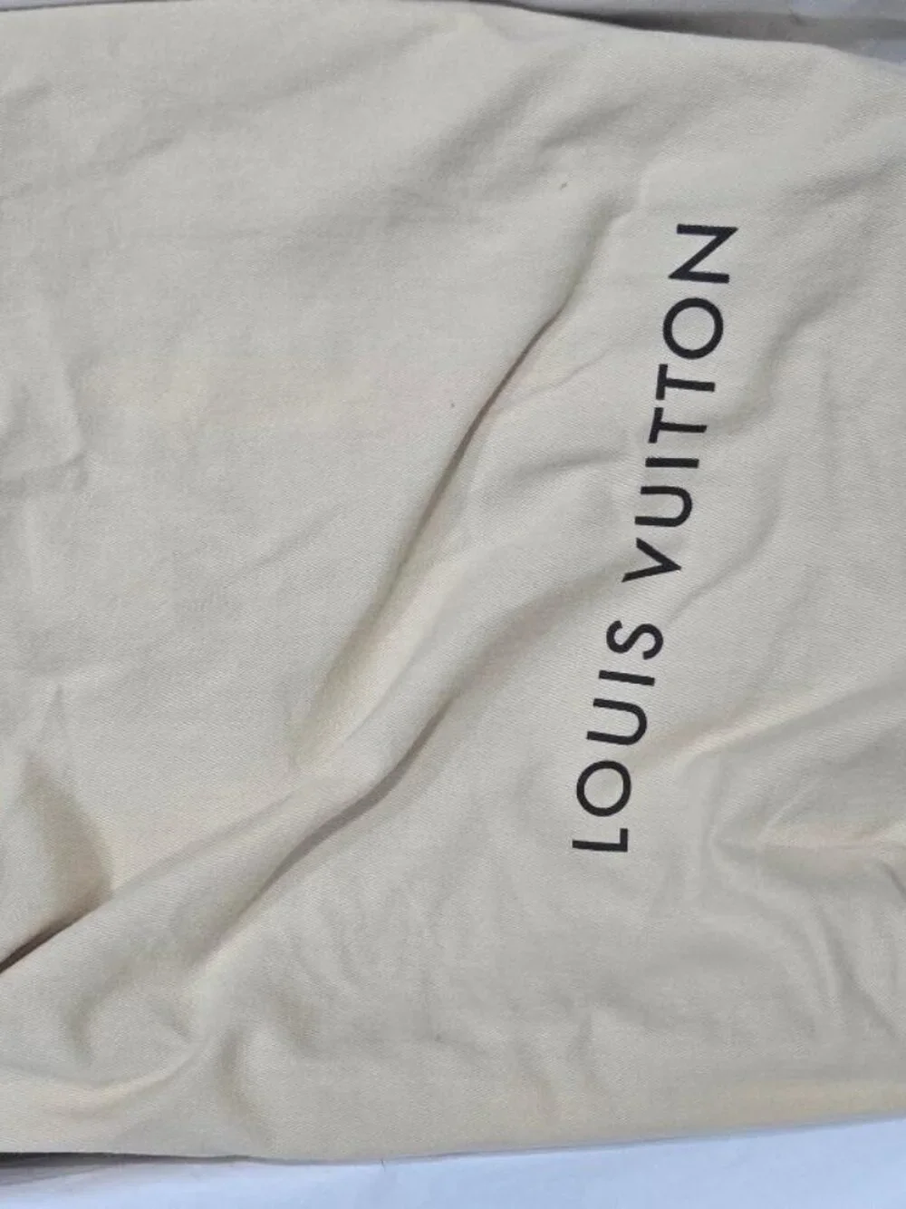 Louis Vuitton this laptop